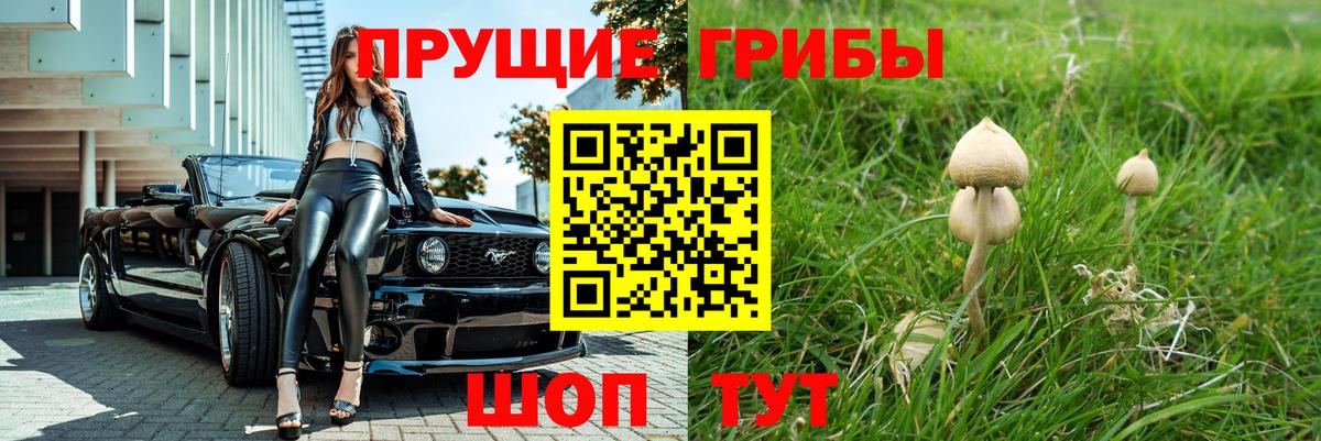 Домодедово  Галлюциногенные грибы GOLDEN TEACHER  Вход с VPN 